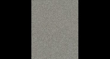 La Veneziana 4 uni goud/zilver effen (vliesbehang, zilver)