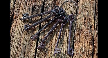 Sleutelbos - incl ring - 14,5 cm - Bruin - Nostalgie