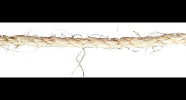 Ivana Steigertouw - Ã˜10mm - 5mtr