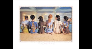 Pyramid Poster - Pink Floyd Back Catalogue - 60 X 80 Cm - Multicolor