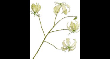 Silk-ka Kunstbloem-Zijden Bloem Gloriosa Tak Groen-Lime 89 cm