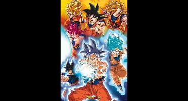 Poster Dragon Ball - Super Gokus transformations 61x91,5cm