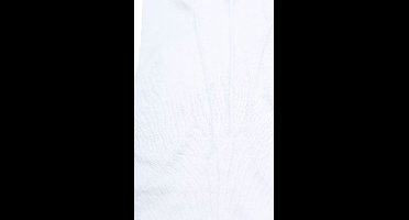 Gala Handschoen Wit - Maat XXL / 11 - Heren - Witte stoffen handschoenen van katoen