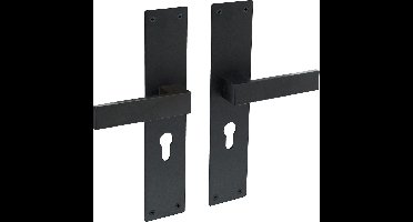 Intersteel Deurkruk Amsterdam met schild 250x55x2mm profielcilindergat 55mm zwart