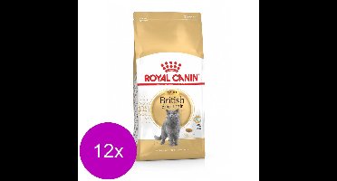 Royal Canin British Shorthair Adult - Kattenvoer - 12 x 400 g