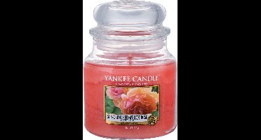 Yankee Candle - Sun-Drenched Apricot Rose Classic Medium Geurkaars - 90 branduren