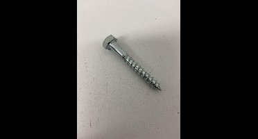 13x SAM Houtdraadschroef 8x80mm 818332 K1