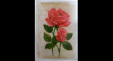 Rozen Vervaco Telpakket