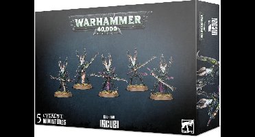 Warhammer 40.000 - Drukhari: Incubi