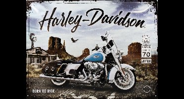 Wandbord - Harley Davidson Born To Ride - 30x40cm