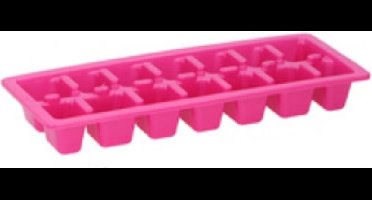 Alpina Ijsblokjesvorm Fuchsia