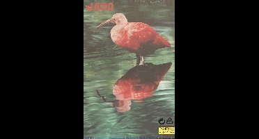 Dieren Puzzel 1000 Stukjes - Rode Ibis - Vogels