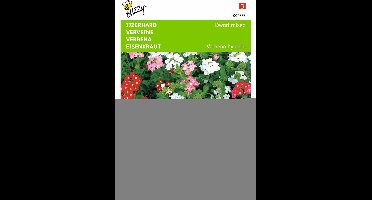 2 stuks Verbena, IJzerhard compact kleurenmengsel