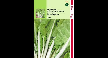 2 stuks - Hortitops - Snijbiet Blonde A Carde Blanche Gele Witribbi...