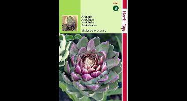 2 stuks Hortitops Artisjok Violet De Provence