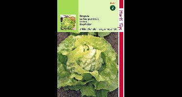2 stuks - Hortitops - Kropsla Grosse Blonde Dikke Blonde Traagsch.