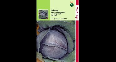 2 stuks - Hortitops - Rodekool Langedijker Bewaar 2