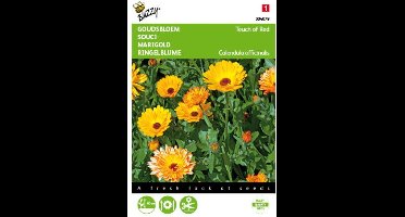 5 stuks - Buzzy - Calendula officinalis Touch of Red mixed Tuinplus