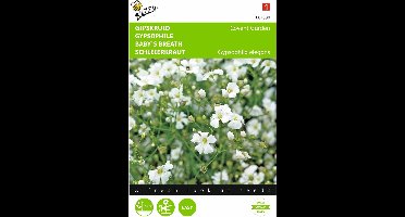 2 stuks - Buzzy - Gypsophila Covent Garden Grootbl. Wit