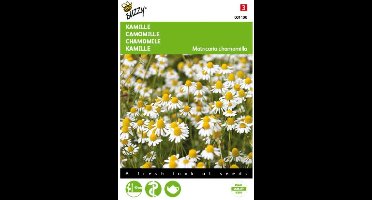 2 stuks Kamille (Matricaria chamomilla)