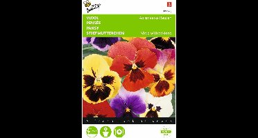 2 stuks Viola, Viool Aalsmeerse Reuzen gemengd