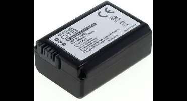 NP-FW50 OTB (A-merk) Accu's