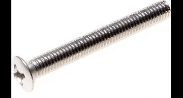 Kelfort Metaalschroef lenskop phillips RVS A2 m6 x 100mm