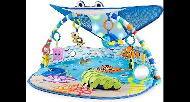 Mr. Ray Ocean Lights Activity Gym