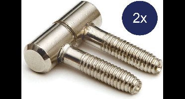 Meubel - Inboorpaumelle - Mini - 35x13 - Vernikkeld - 2 Stuks