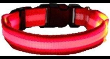 New Age Devi - LED-Honden-Halsband-Rood-M