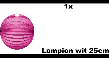 Lampion Pink 25cm - festival thema feest verjaardag party papier BBQ strand licht fun