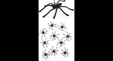 spinnen   10 stuks  5 cm groot