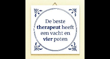 Tegeltje De Beste Therapeut van Ditverzinjeniet.nl