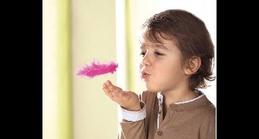 Haba Spel - Vliegende veren - Dieren partner spel - 301880