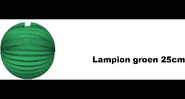 Lampion groen 25cm - festival thema feest verjaardag party papier BBQ strand licht fun