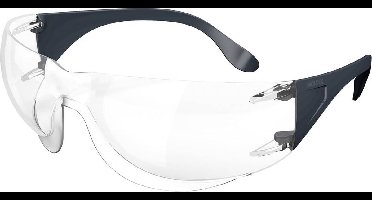 Moldex ADAPT 1K 141001 141001 Veiligheidsbril Met anti-condens coating, Met anti-kras coating Zwart DIN EN 166