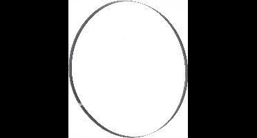 Holzmann Maschinen BSB300B12 Bandzaagblad 2240 x 12 x 0.4 1 stuk(s) Geschikt voor model HBS300J_230V