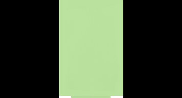 Rocada whiteboard - Skincolour - 100x150cm - groen gelakt - RO-6421R-230