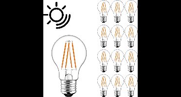 Sensor LED Lampen E27 met daglichtsensor - Automatisch aan- en uit - 12 stuks - Lamp