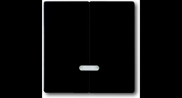 ABB Busch-Jaeger Schakelelement/Centrale Plaat - 2CKA006599A2969 - E2BQQ