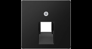 Jung A Range Insteekschakelplaat - A569-1BFPLUASWM - E2W26