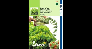 2 stuks - Hortitops - Salanova Virtuose Rz Groen wordt Vivanto RZ