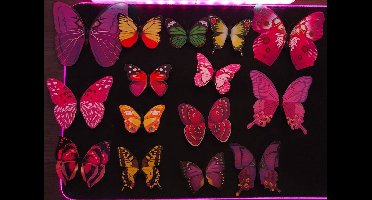 3D Magnetische Vlinders Muurstickers - Muurdecoratie - 15 stuks Delux set