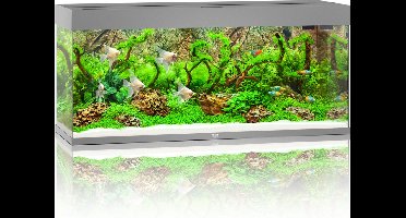 Juwel Aquarium Rio 240 Led 121x41x50 cm - Aquaria - Grijs Ca. 240 L
