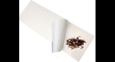 10 x Bedwants lijmval XL - PestiNext - Bedwantsen val - Bedwants vallen - Bedwantsen vangen - Bedwants detectie - 15 x 45cm