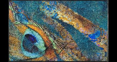 Goodivery ® Stijlvolle en Kleurige Doormat voor Binnen en Buiten - 75 x 120 cm