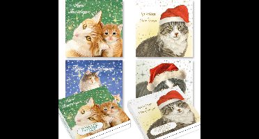 Franciens Katten kerstkaarten 1