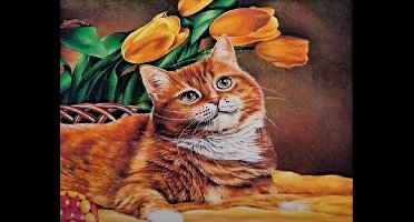 Denza - Diamond painting poes liggend met glimlach 40 x 50 cm volledige bedrukking ronde steentjes direct leverbaar kat - poes - kitten