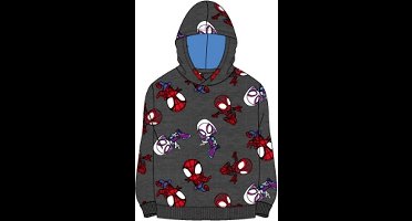 Disney junior Spidey amazing friends Grijs Sweater Gerecycled Katoen Maat 104