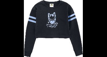 Batman Kids - Gotham City Hero Meisjes Sweatshirt - zwart - 164